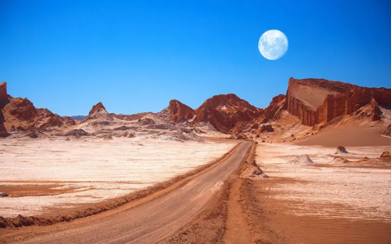 Formaciones rocosas y vegas del desierto de Atacama en el norte de Chile