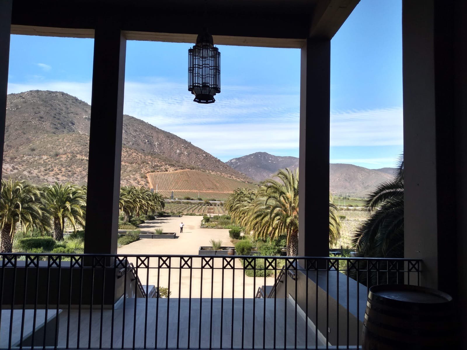Casablanca Valley vineyards