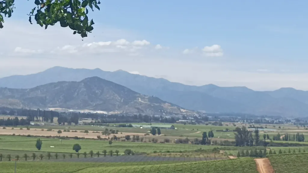 Panorámica del valle de Casablanca con viñedos, campos y la cordillera de la costa al fondo