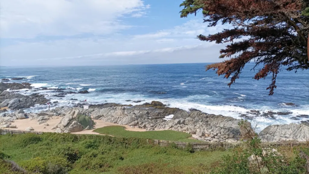 Costa rocosa del Pacífico frente a Isla Negra