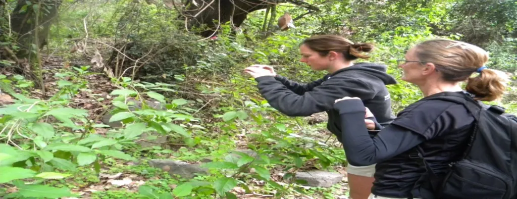 Excursionistas observando la vegetación del Parque Nacional La Campana